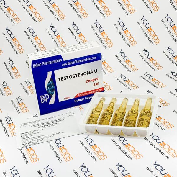 Testosterone U 250mg 1ml amps Balkan Pharmaceuticals 2